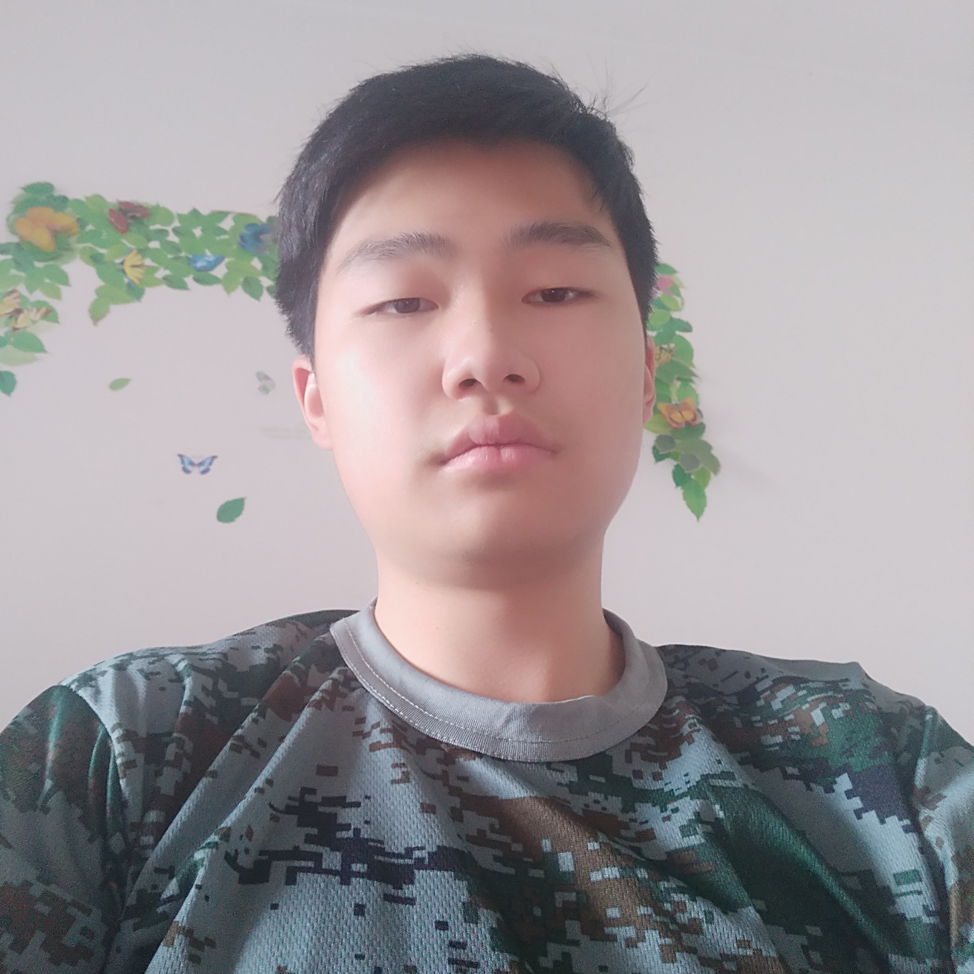 暗夜小星星的照片