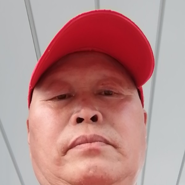 太阳懦弱的照片