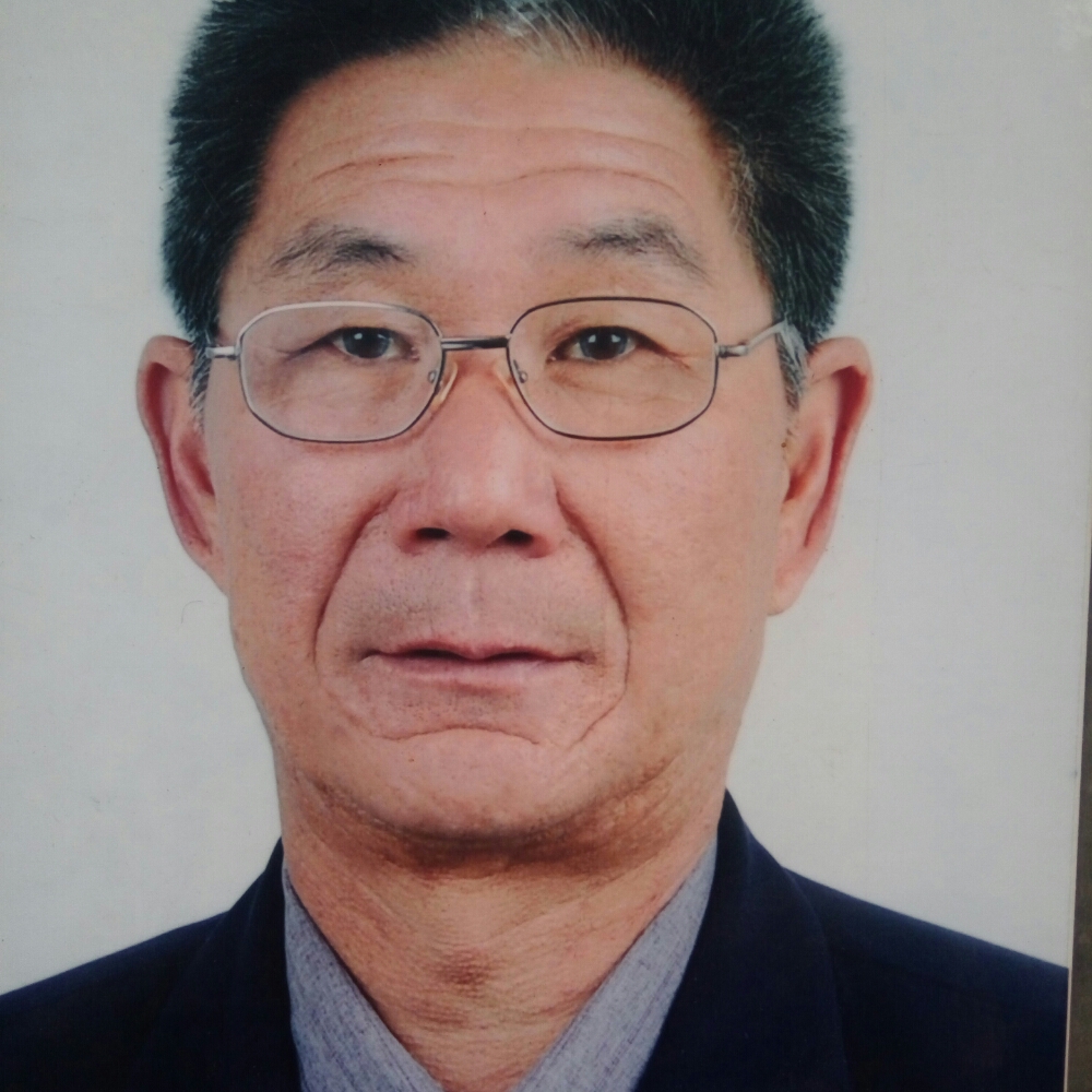 斯文长颈鹿的照片