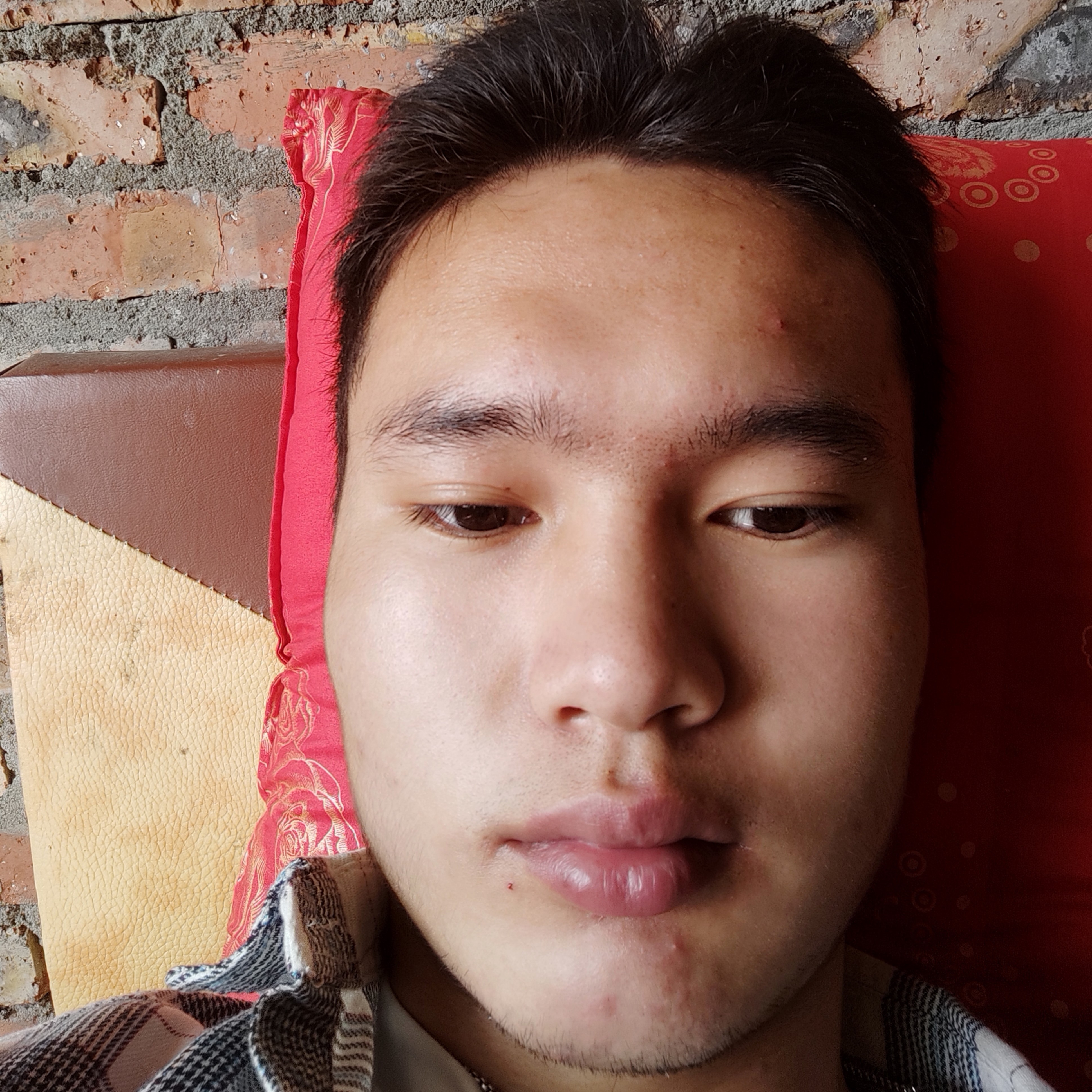 难过给小蚂蚁的照片