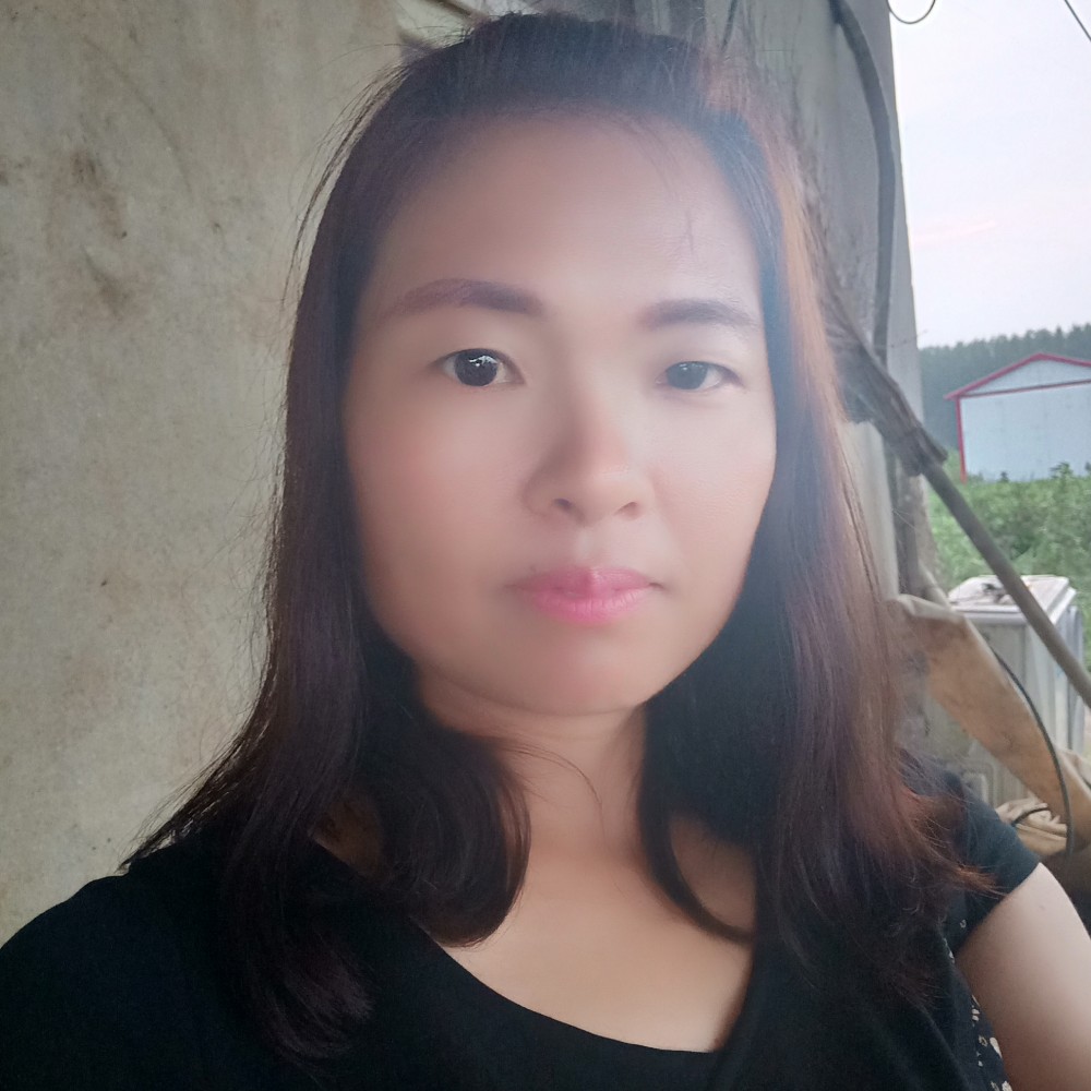 水泥上的花朵的照片