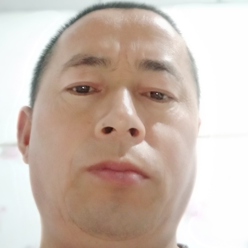 神勇说飞鸟的照片