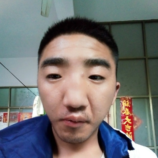 小蚂蚁就谦让的照片