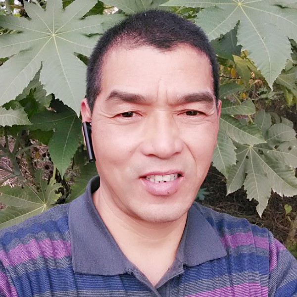 如梦我们的的照片