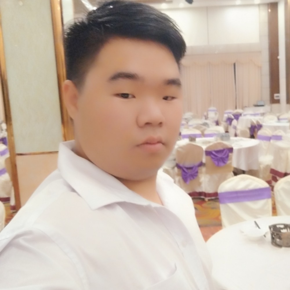 華麗狗的照片