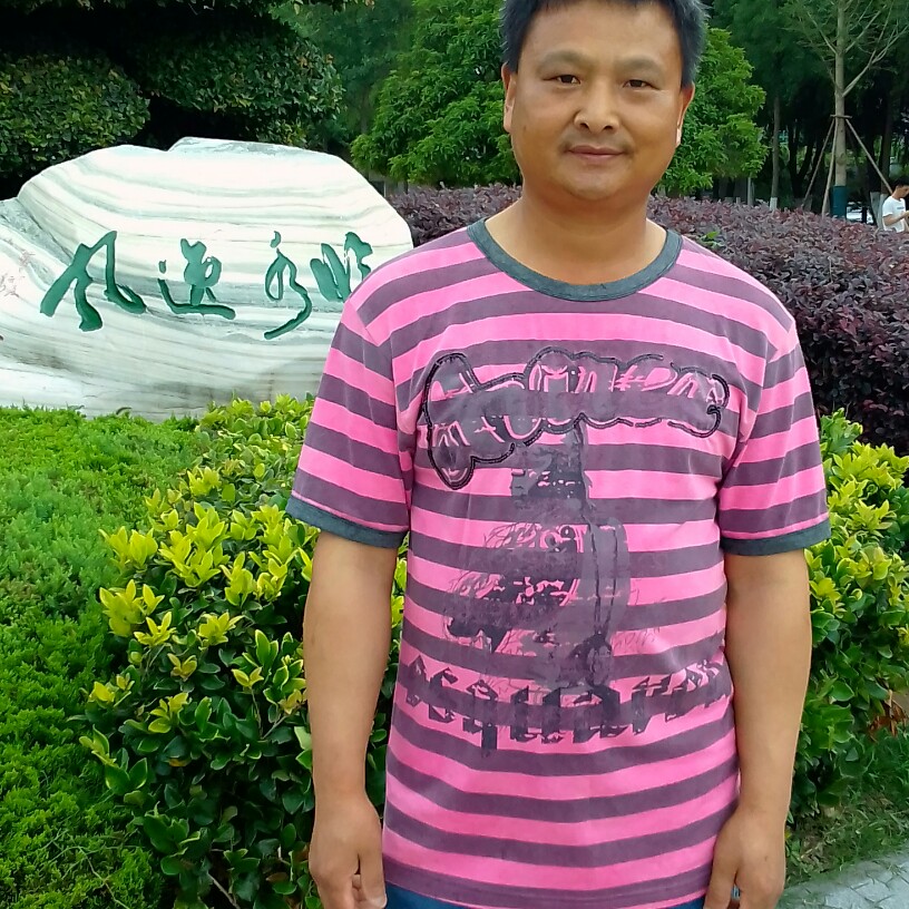 土豪倾心蜜蜂的照片