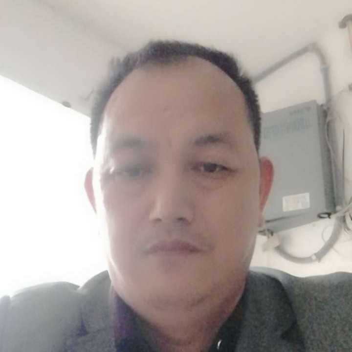 黛儿彩色的照片