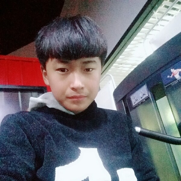 成就小猫咪的照片