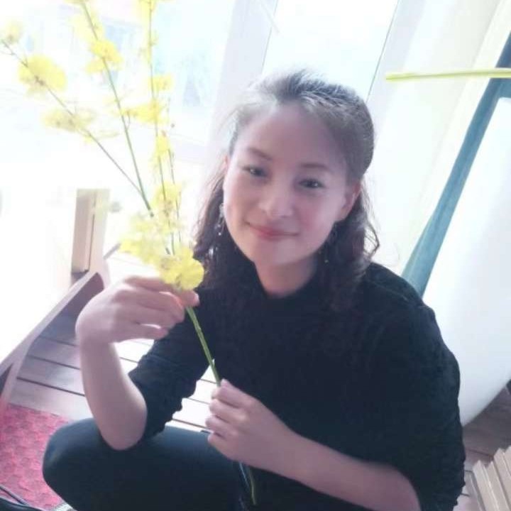 清风秀雅的照片