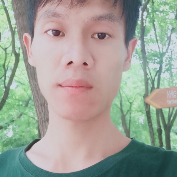 小猫咪绚烂的照片
