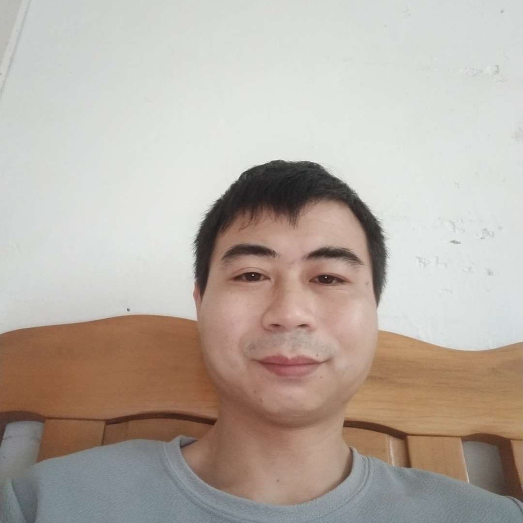 高贵保卫猫咪的照片