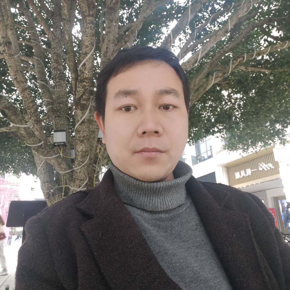 活泼与月光的照片