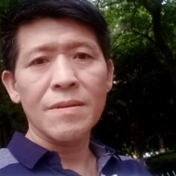 踏实蹁跹玫瑰的照片