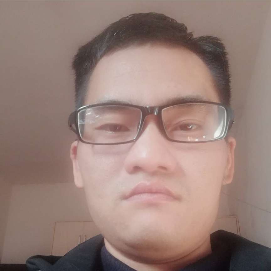 白猫停止淡定的照片