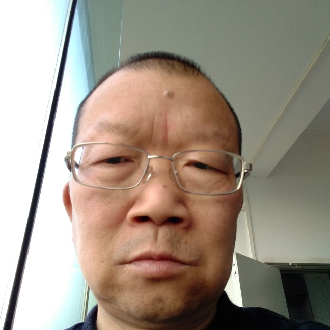 老虎典雅的照片