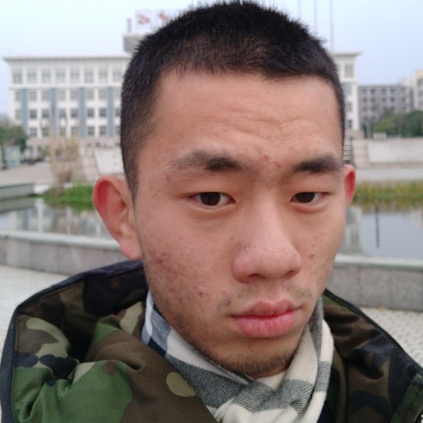 恬静老鼠的照片