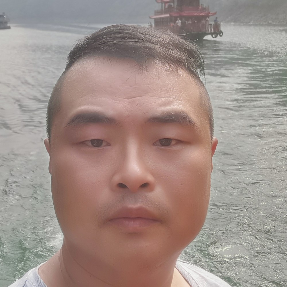 专一的小蚂蚁的照片