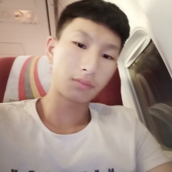 矮小冬耀的照片