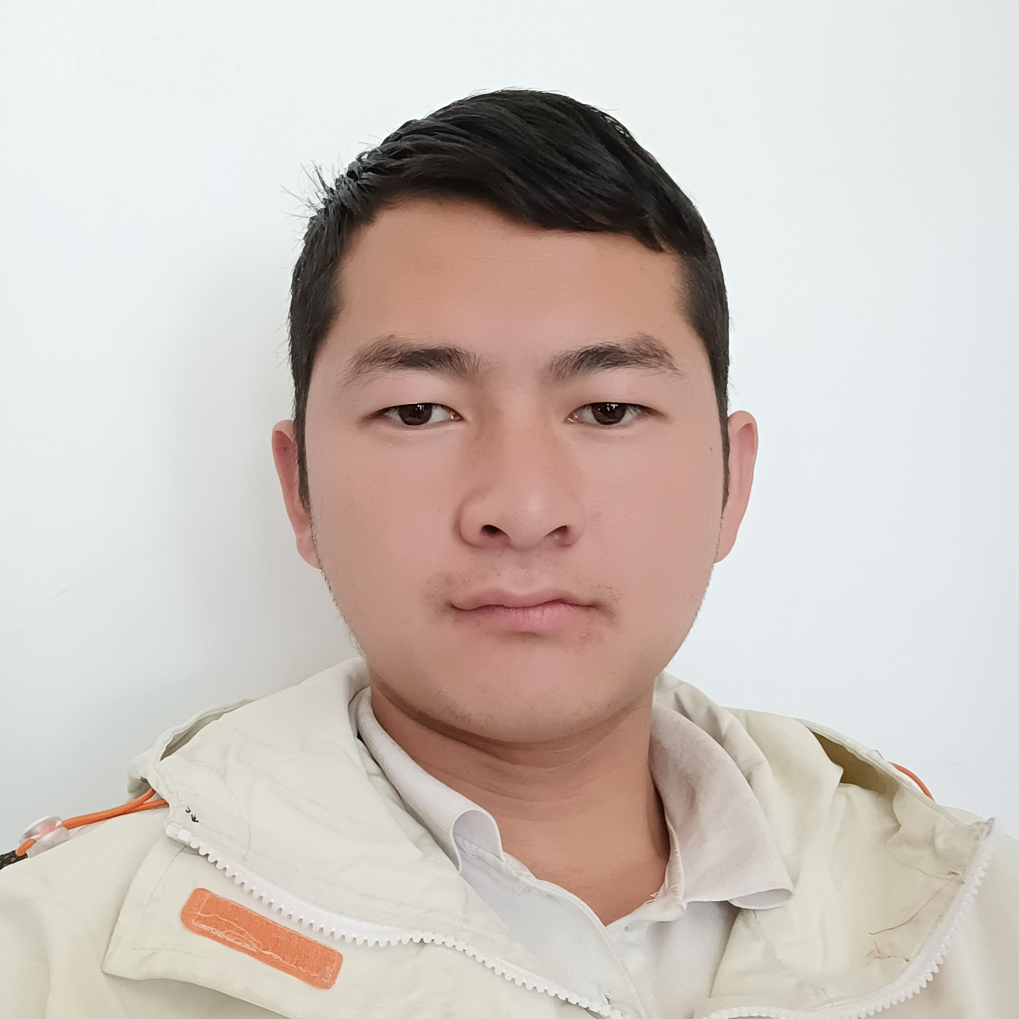 小蚂蚁回眸漂亮的照片