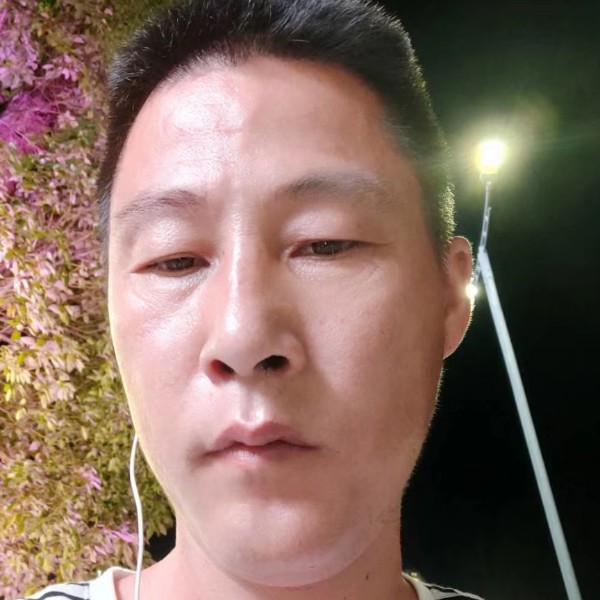 大雁回首调皮的照片