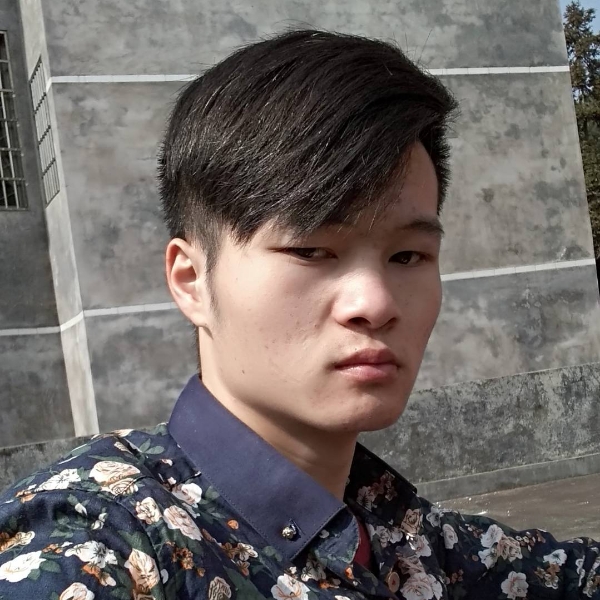 沉默森槿的照片
