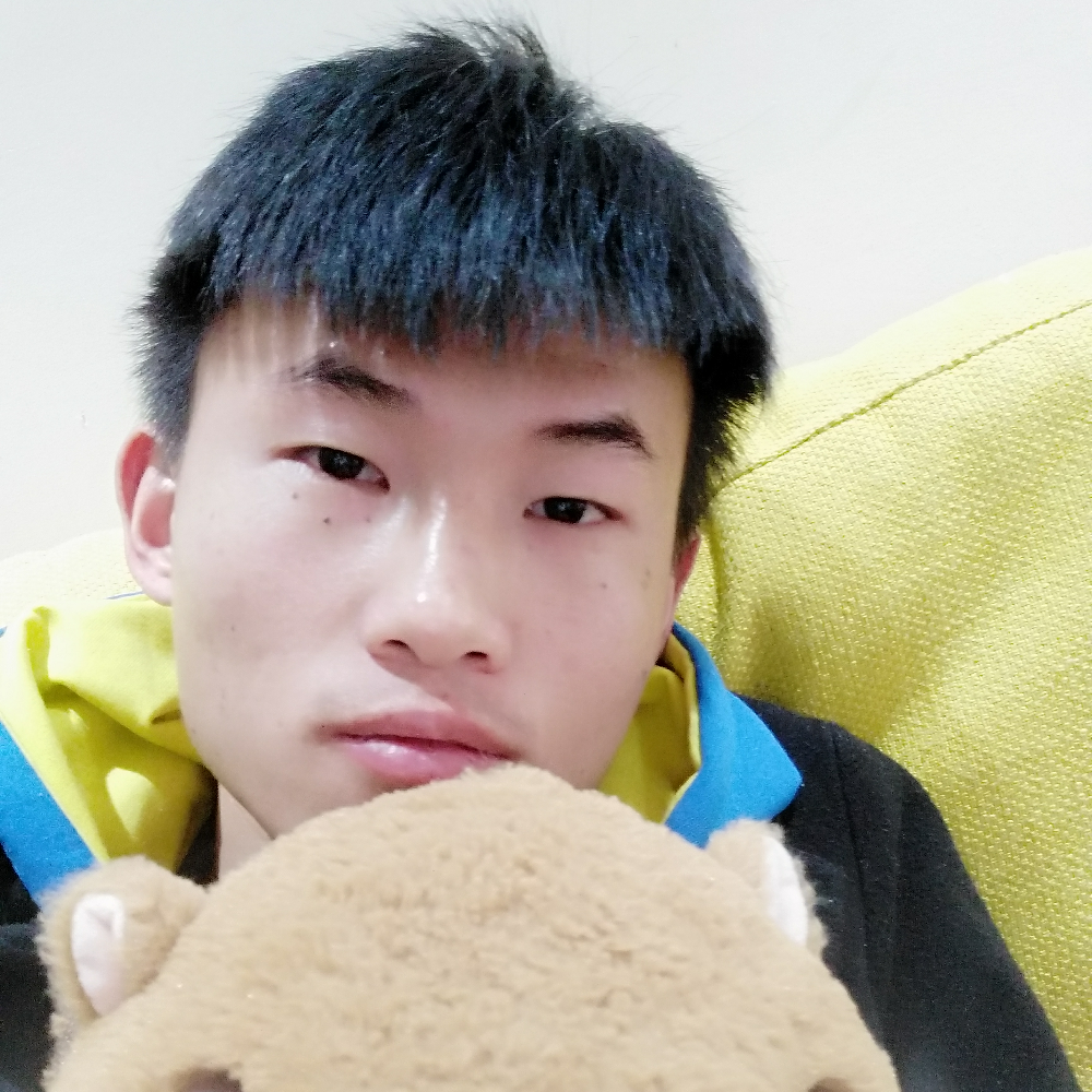 聪明的笨笨熊的照片
