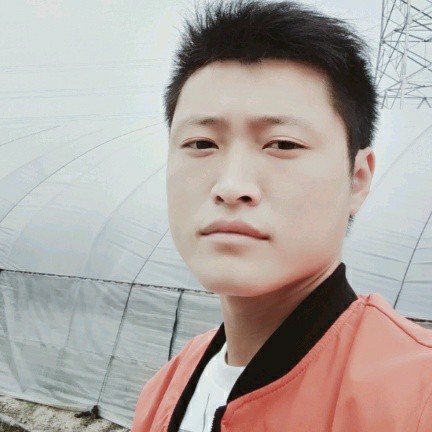 故事阳光2的照片