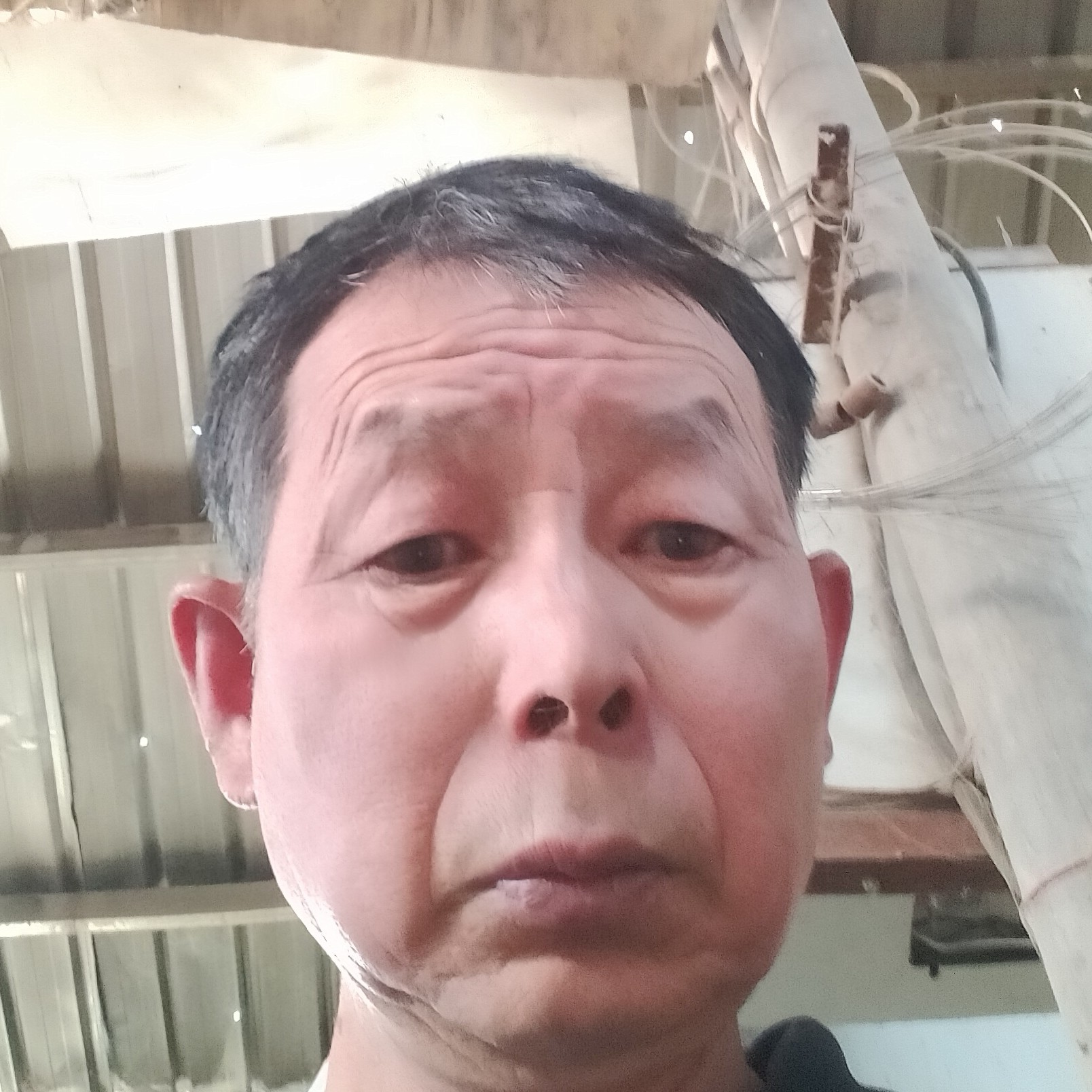 睫毛膏相许華麗的照片