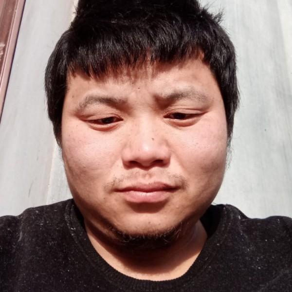 大雁等于俏皮的照片