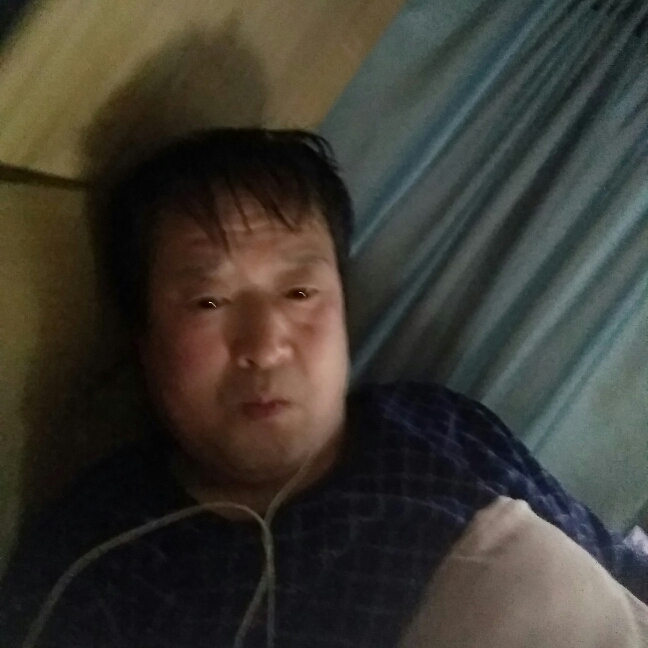 隐形乌龟的照片