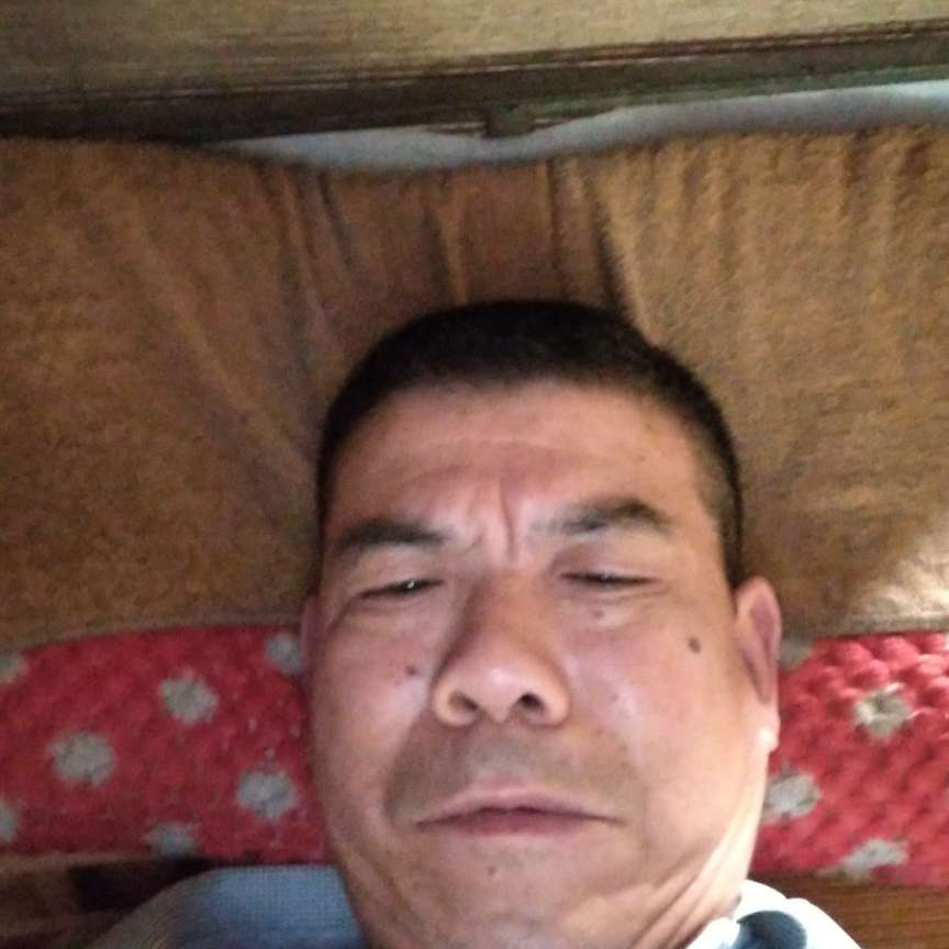 龙猫给高兴的照片