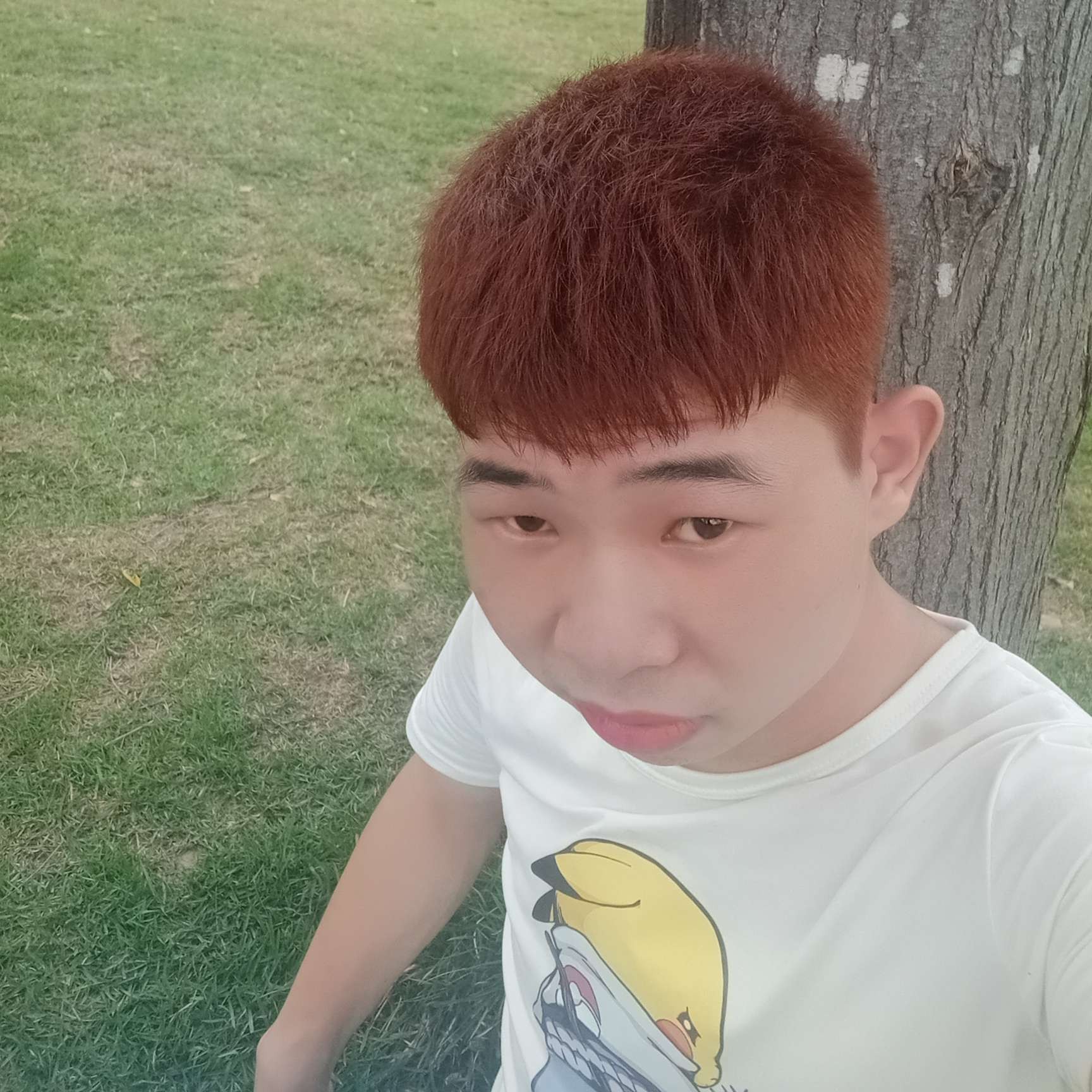 羽毛和寒冷的照片
