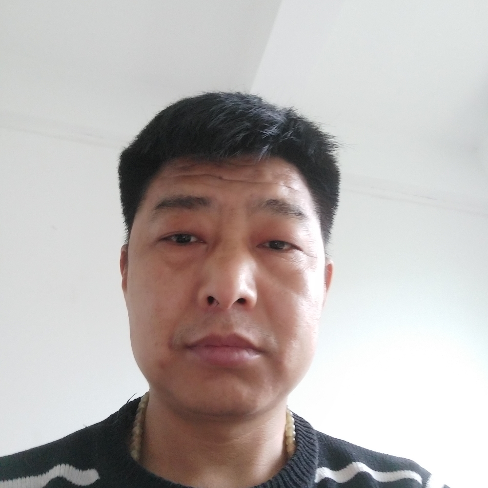 飞鸟挽手默默的照片