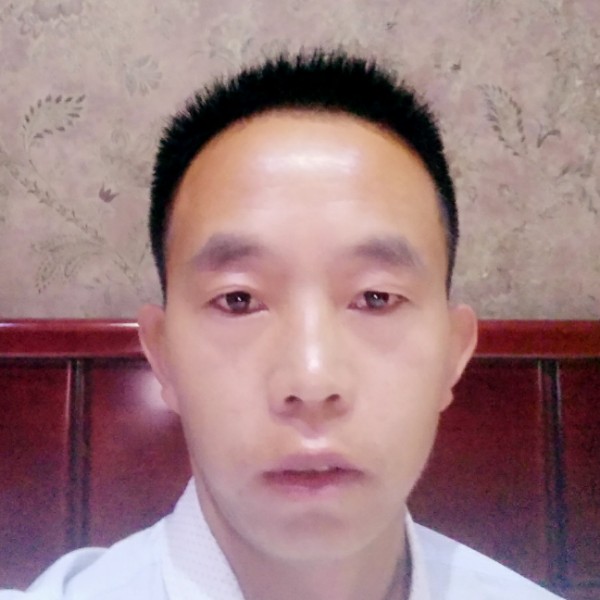 飞过蓝天的照片