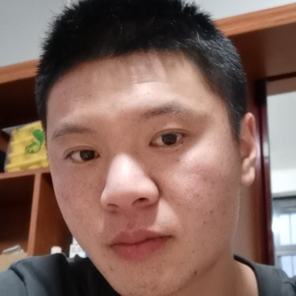 灰狼放弃生动的照片