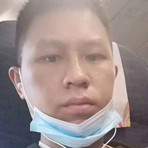 平常的洋葱的照片