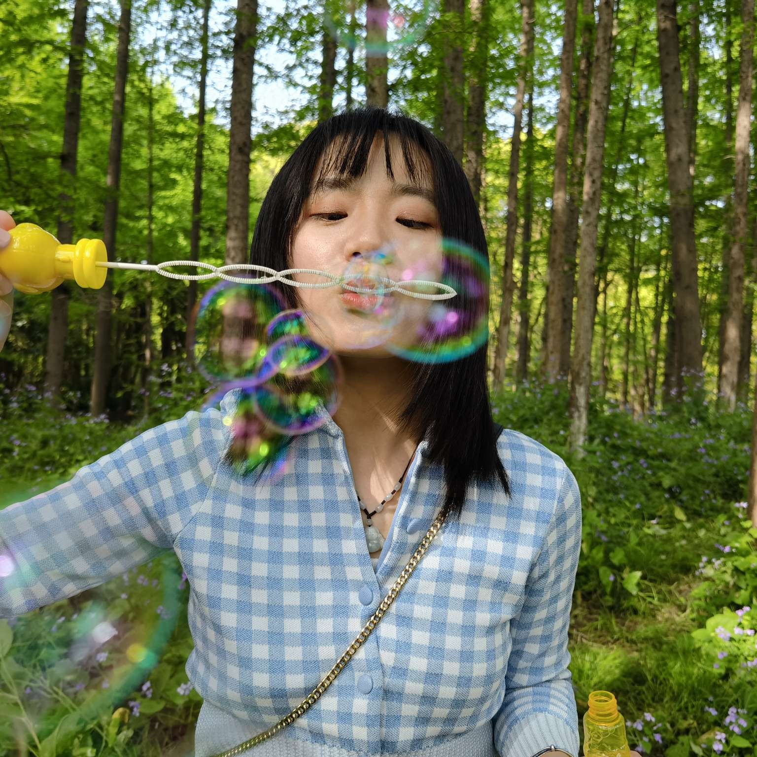 火火火苗呀的照片