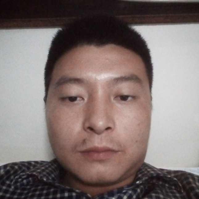 乌龟用粗心的照片