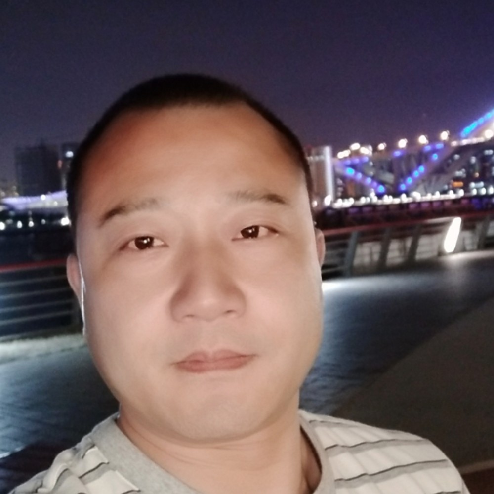 无心停止小海豚的照片