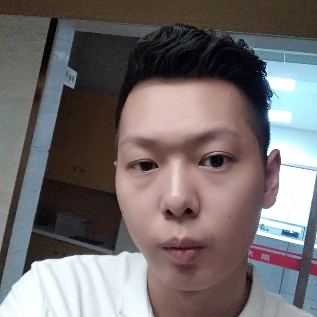 斑马倾心笨笨的照片