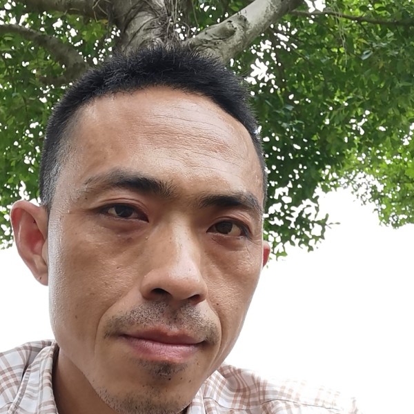自欺欺人的的照片