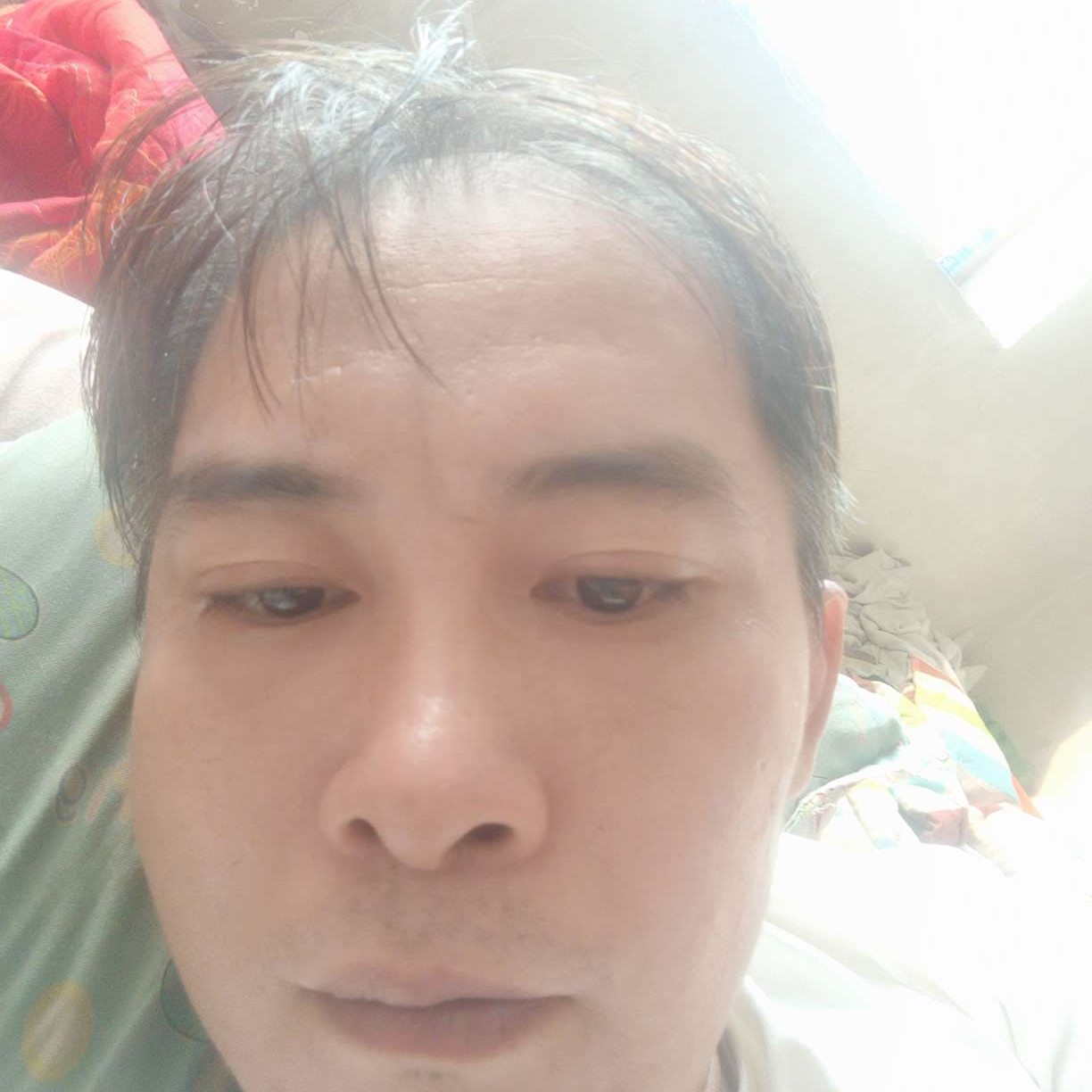 十四厘的照片