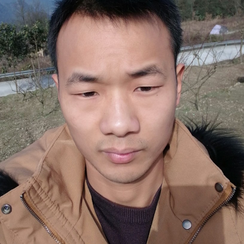 家里来的照片