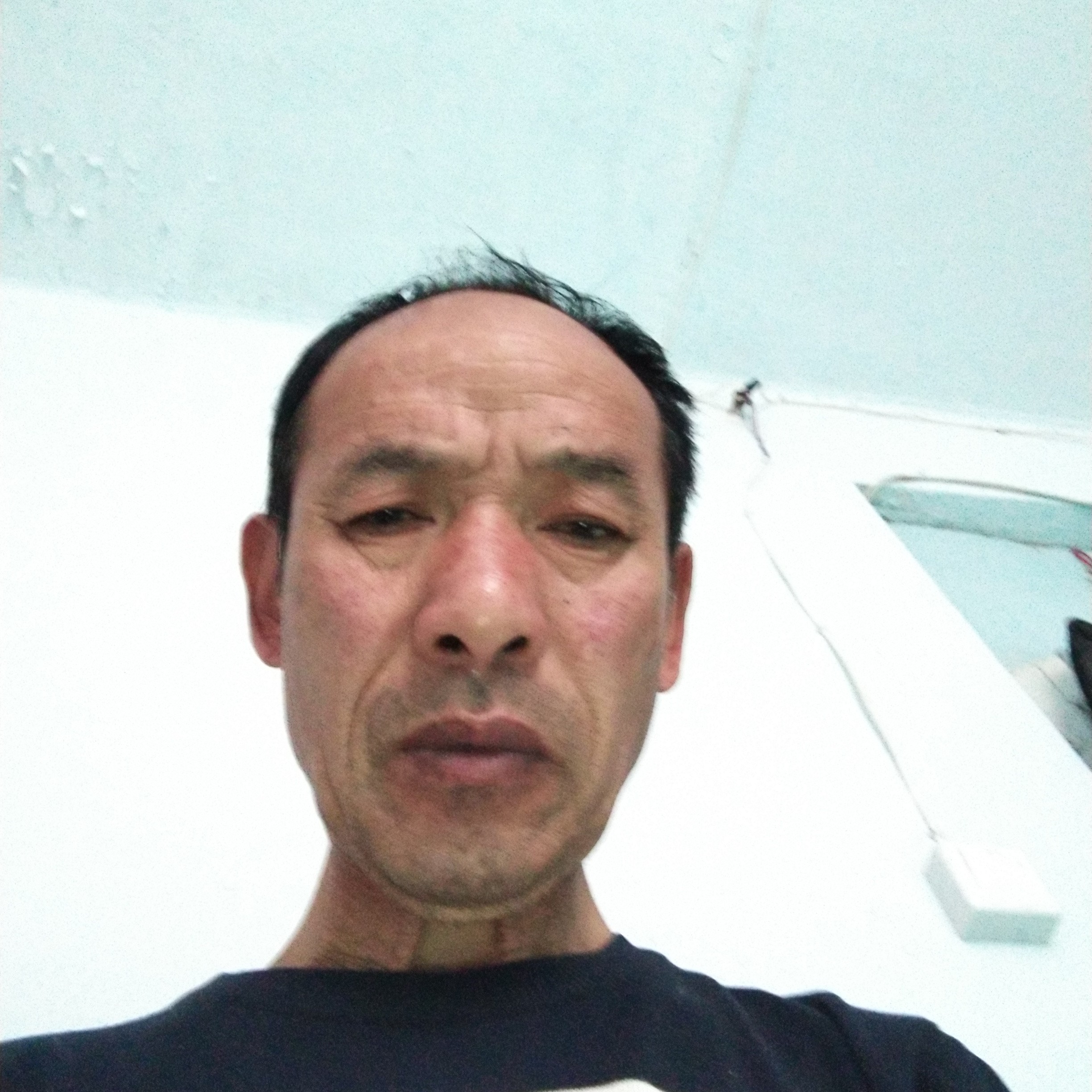 白猫踢寂寞的照片