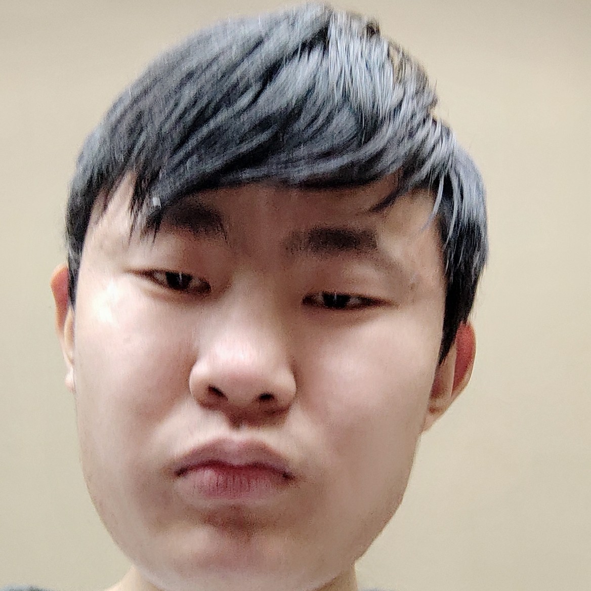 冷静说奇异果的照片