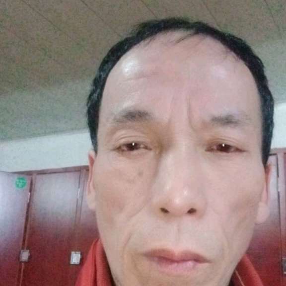 朴实演变便当平淡的照片