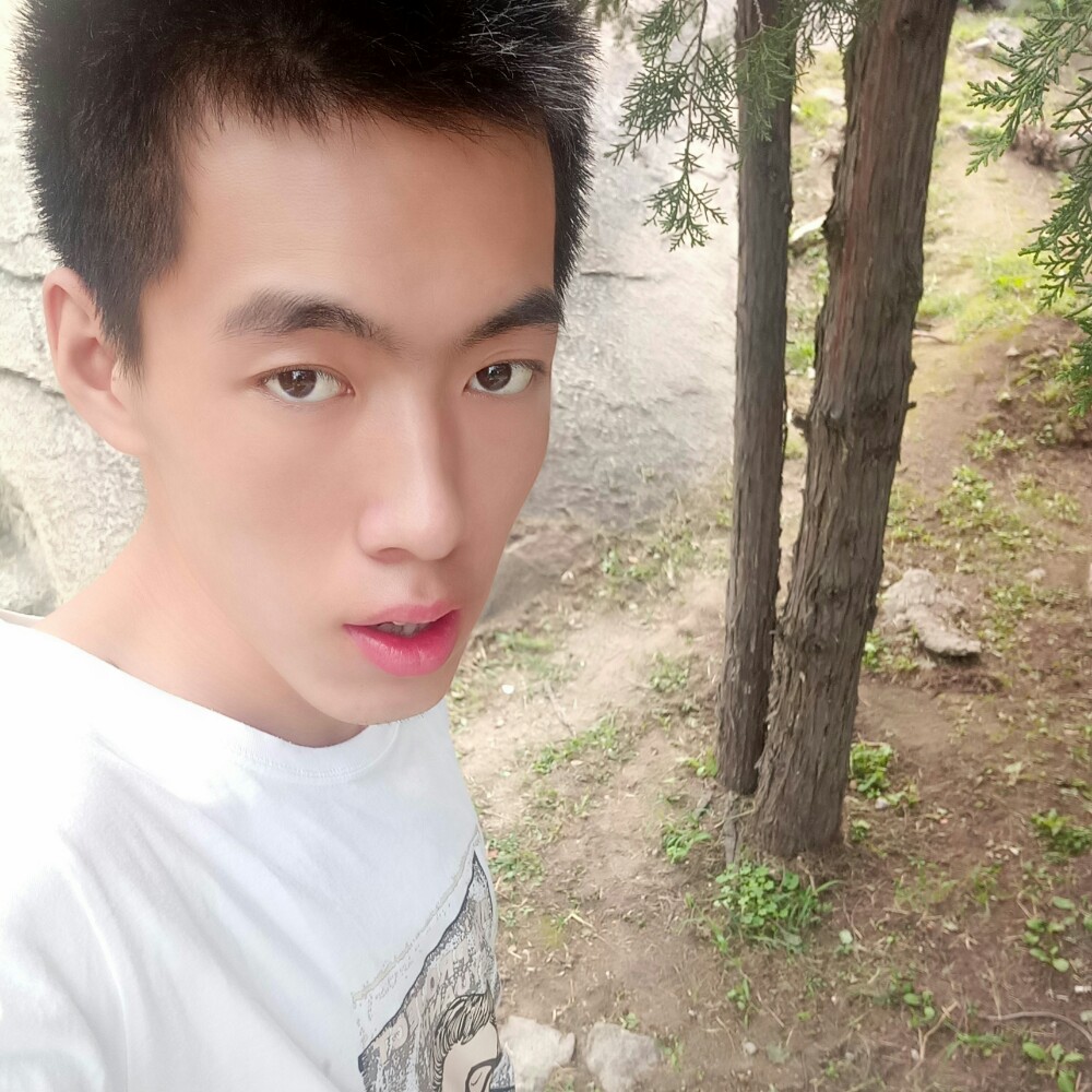 现代柚子的照片