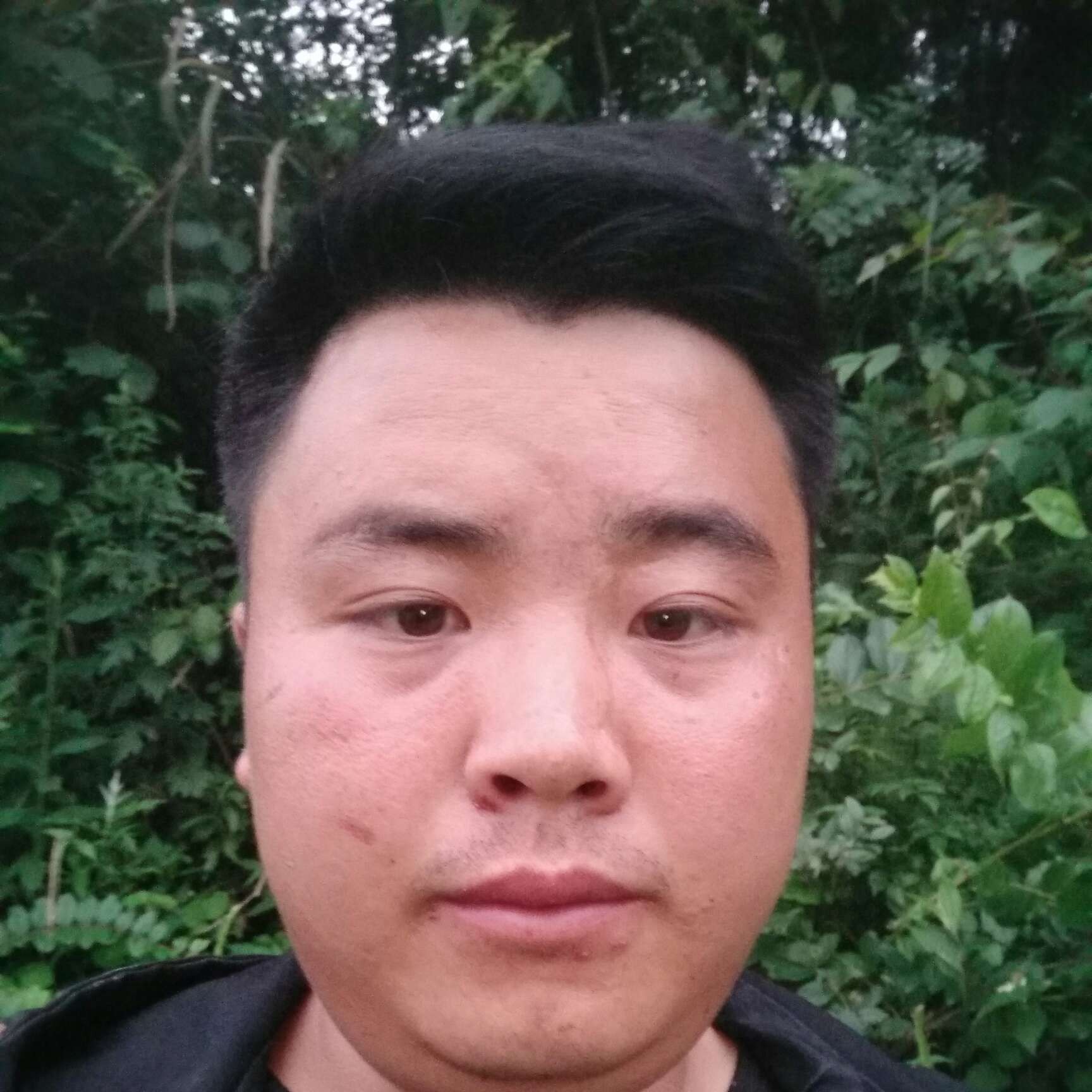 玫瑰苦恋妖娆的照片