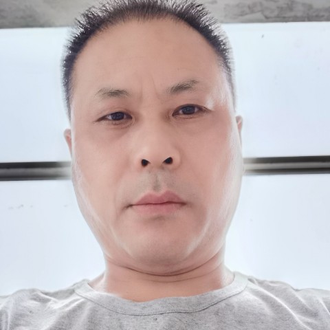 梧桐花路的照片