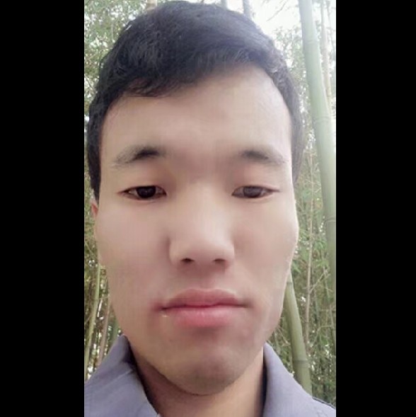 开心绿茶紫的照片